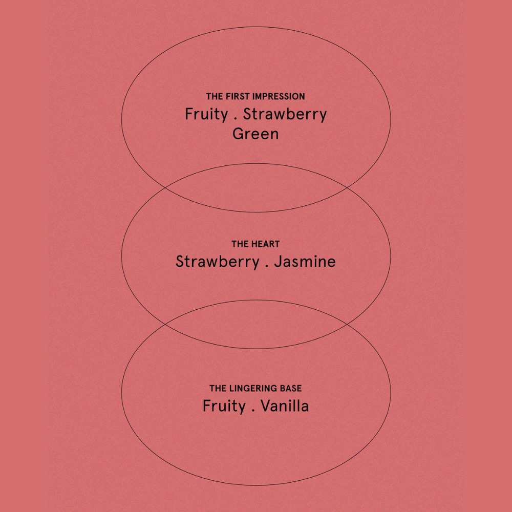 The Aromatherapy Co. Limited Edition Christmas Hand Cream Trio Set 3x50mL