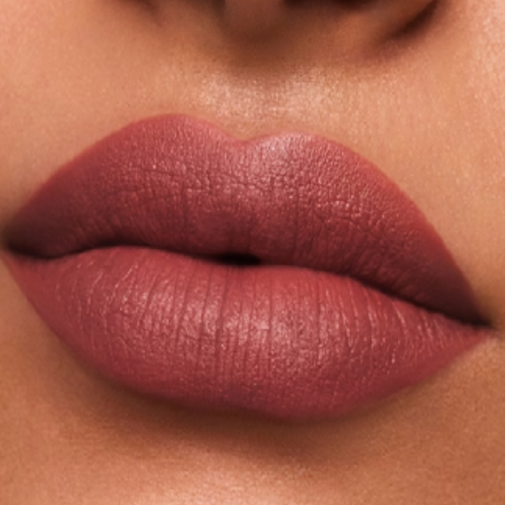 Estee Lauder Pure Color Matte Lipstick 3.5g - 809 Secret Scandal