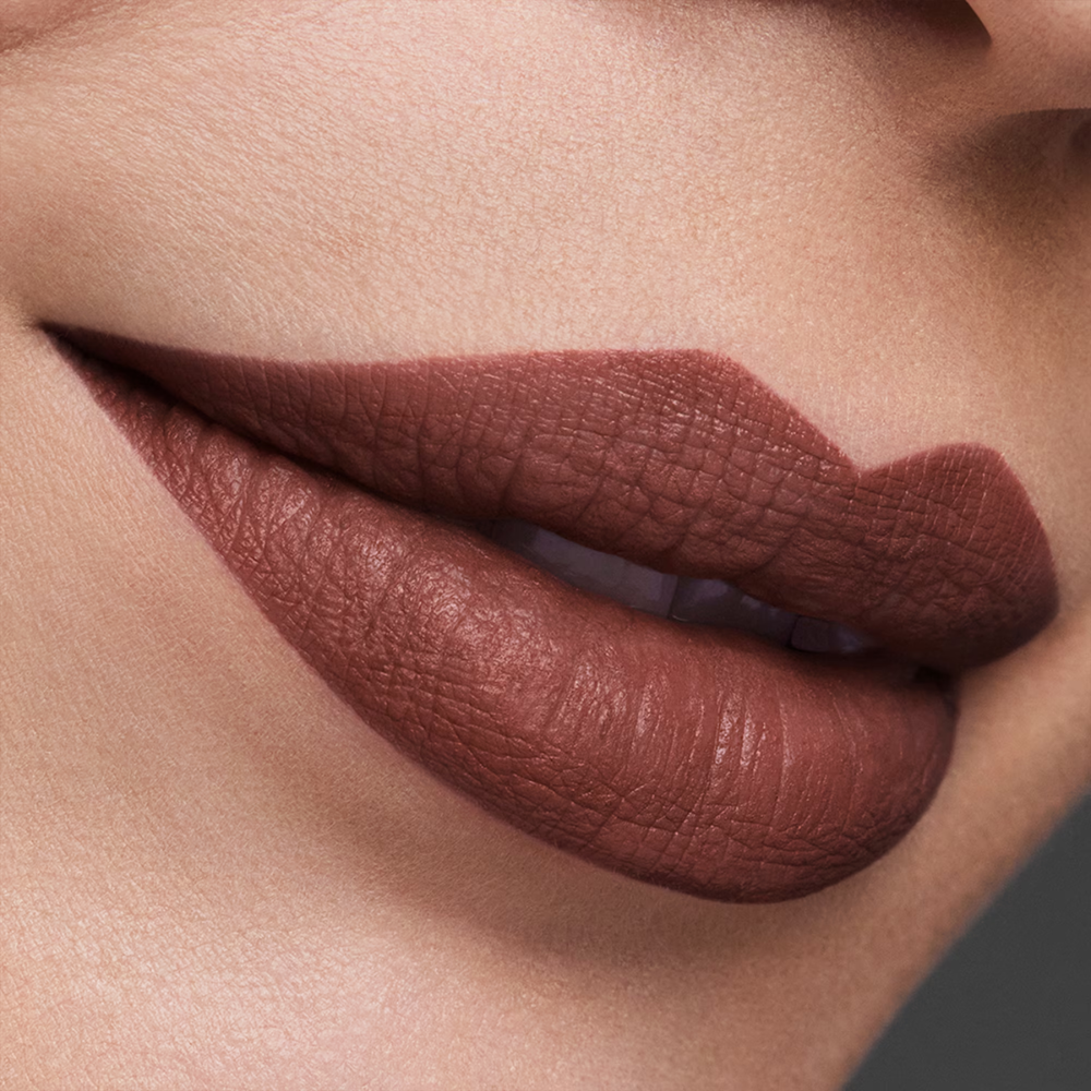 Estee Lauder Pure Color Matte Lipstick 3.5g - 829 Expose