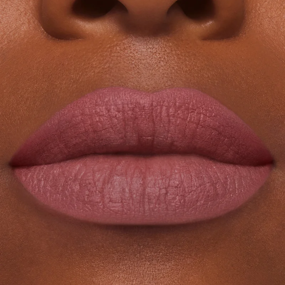 Estee Lauder Pure Color Matte Lipstick 3.5g - 855 Risk It All