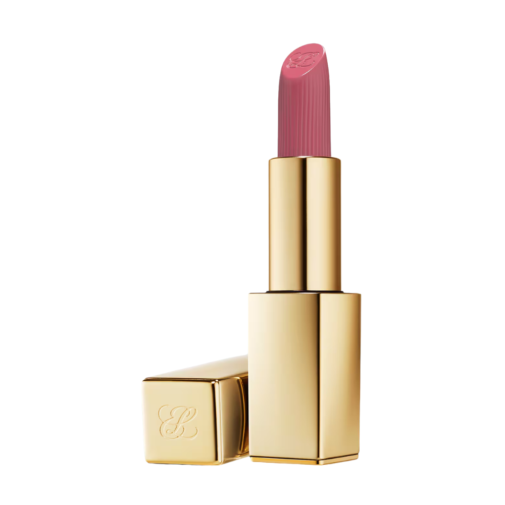Estee Lauder Pure Color Matte Lipstick 3.5g - 855 Risk It All